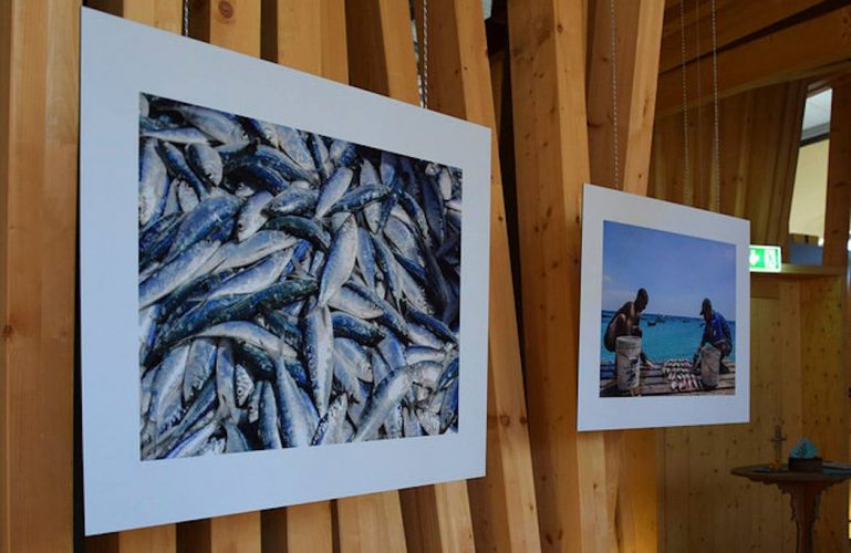 DIARIESOF_DibondClassic