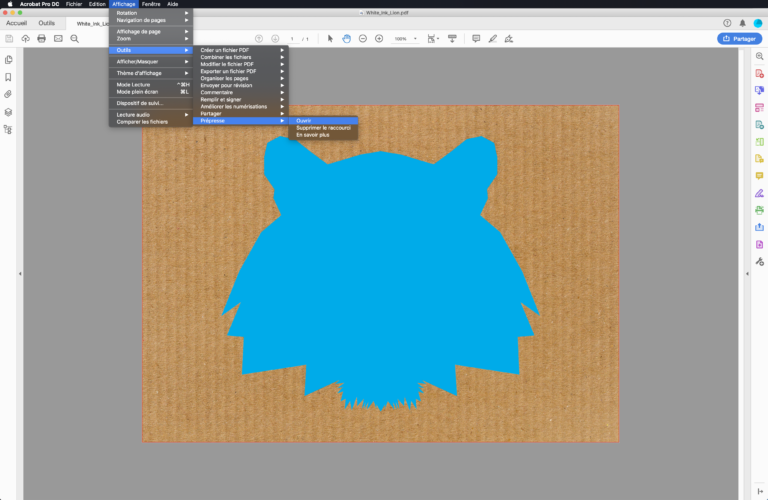 Encre_blanche_Acrobat00