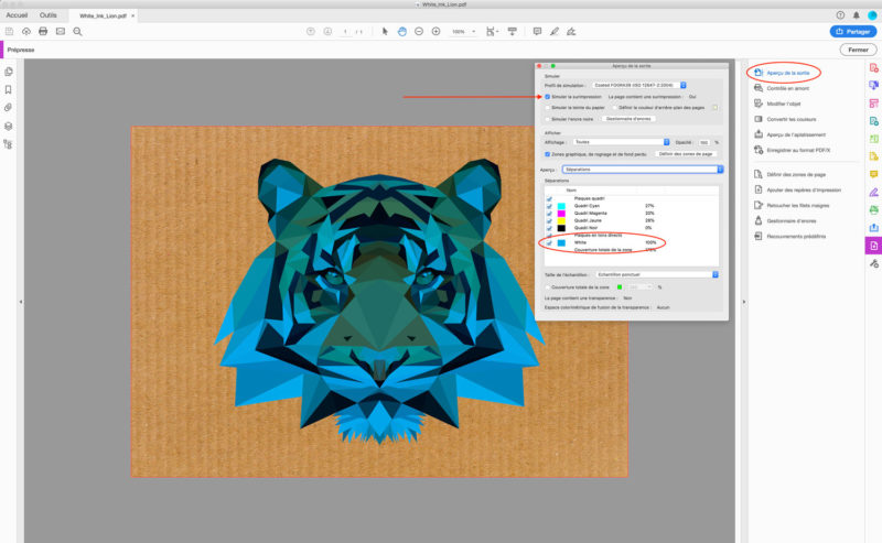 Encre_blanche_Acrobat1_1500